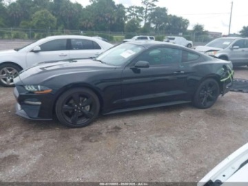 Ford Mustang VI 2022 Ford Mustang Ecoboost Fastback 2022 2.3l 2.3 Benzyna 310KM, zdjęcie 2