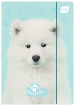 Teczka Z Gumką A4 + Lux Uv Puppy Sign Interdruk