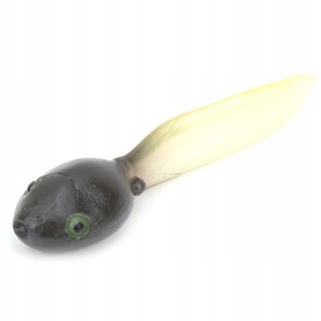 Научная модель жизненного цикла цикла роста животных