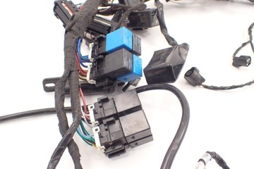 Монтажный жгут Triumph Speed ​​Triple RS 1050 18-