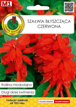 Nasiona roślin miododajnych Szałwia Czerwona 0,5g