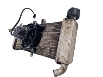 Aprilia RS4 125 COOLER