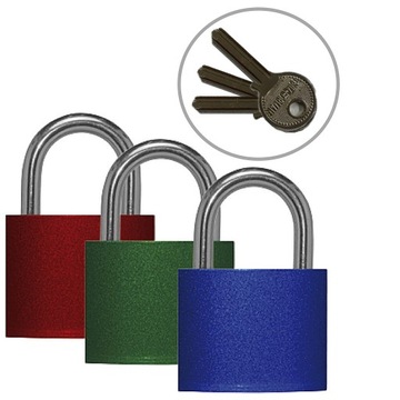 KŁÓDKA JARZMOWA ŻELIWNA NA KLUCZ ZATRZASKOWA AD30 DO SZAFKI NA SIŁOWNIE