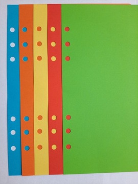 ЦВЕТНАЯ вставка в блокнот-планировщик 6 А5 INTENSIV RINGS