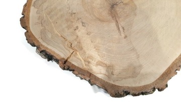 Деревянный диск берёза 38-42см, ломтик древесины ЭКО.