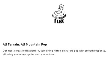 Сплитборд NITRO Team Split 2024 + скины | 159см р.159