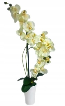 STORCZYK SZTUCZNY STORCZYKI KWIAT ORCHIDEA KOLORY