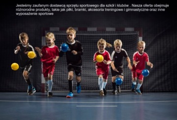 СУМКА ДЛЯ ШАРОВ VINEX/СЕТКА