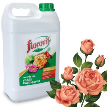 FLOROVIT NAWÓZ PŁYNNY DO ROŚLIN KWITNĄCYCH KWIATÓW OBFITE KWITNIENIE 2,8KG
