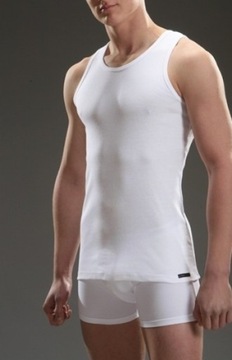 Футболка Cornette Authentic 213 р.л.