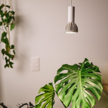КОМПЛЕКТ GROW LIGHT LED LUNA + VIGO WHITE PLANTS