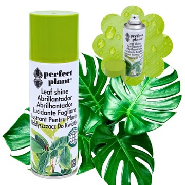 NABŁYSZCZACZ DO ŻYWYCH KWIATÓW I LIŚCI SPRAY 200ml