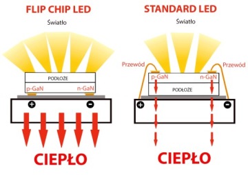 H1 LED FLIP CHIP США 6000K 12/24V CANBUS ЛАМПА