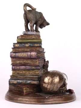 КОШКА ПО КНИГАМ ВЕРОНСКИЕ КОШКИ В ПОДАРОК