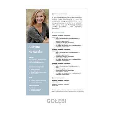 Редактируемый шаблон резюме в MS Word 1/22/CV
