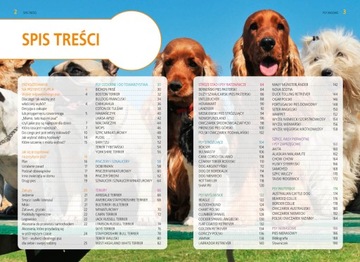 СОБАКИ ПЕРЕГРИ Анна Игликовская 80 ПОРОД