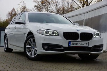 BMW Seria 5 F10-F11 Limuzyna 520d 184KM 2014 BMW Seria 5 2.0 Diesel 184 KM, 4x4, Automat, Lift, Skora, Biksneon, Hak, G