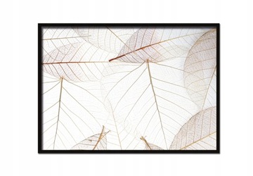 OBRAZ PLAKAT W RAMIE 53x73 cm Złote Liście P634