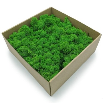 Финский ОЧИЩЕННЫЙ МОХ, 2кг, НЕТОТНЫЙ, ЛЕТНИЙ