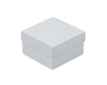 PUDEŁKO NA TORT CIASTO 20x20x10cm KLAPA RED PLAST
