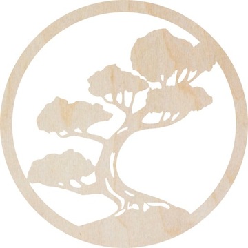 Koło drzewo bonsai koło 70cm baza chrobotek