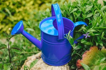 Металлическая лейка детская для сада Вудиленд.