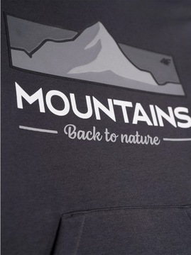 СВИТШОТ С КАПЮШОНОМ 4F ДЛЯ МАЛЬЧИКОВ AW23M634