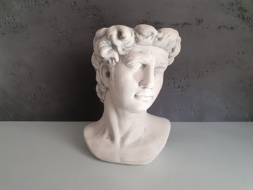 Крышка Цезаря Голова Цветочный Горшок Украшение Чаша ПОДАРОК