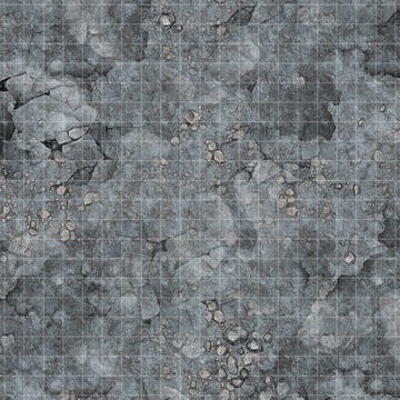 Mata suchościeralna RPG 50x50cm z siatką kwadratową, mata zmywalna - Loch