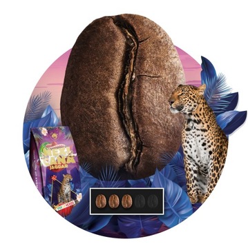 НАБОР КОФЕ В ЗЕРНАХ 2 КГ - СВЕЖЕОБЖАРЕННЫЕ - ИЗ КОФЕОБРАБОТКИ BLUE ORCA