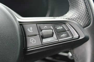 Alfa Romeo Tonale 2022 Alfa Romeo Tonale F Sprint DCT Automat Led, zdjęcie 21