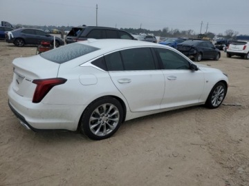 Cadillac 2021 Cadillac CT5 Premium Luxury 2021 2.0 Benzyna 237KM, zdjęcie 3