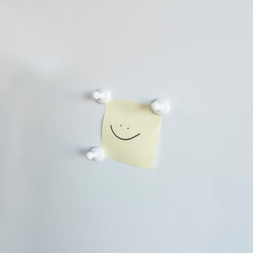 Набор из 6 неодимовых магнитов PIONEK White 19x25 мм