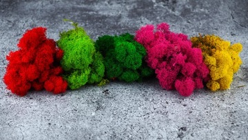 Мох в горшке МИКРОКЛИМАТ БОЧКИ