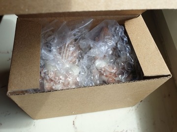 LIONS SHIISAA SHISA ЯПОНСКИЙ СОВЕРНИРЕ ОКИНАВА ОРИГИНАЛ YAESE SHISHI TOMORI