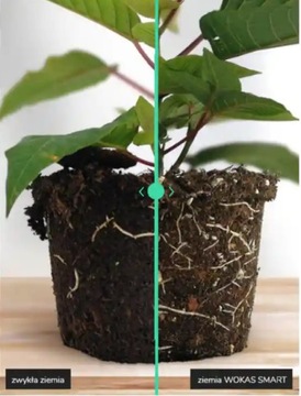 Грунтовый субстрат для ЛАВАНДЫ 5л