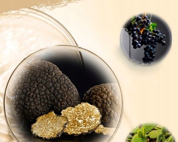 trójkolorowa paleta korektora obejmująca trądzik i cienie