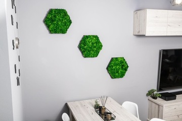 Панно из мха шестигранное большое шестигранник 38х43см
