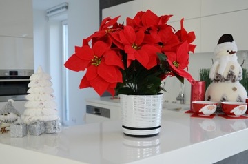 Wytworna DONICZKA wiśniowa srebrną nitką 14 osłonk