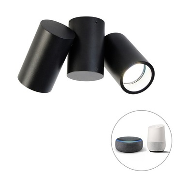 Inteligentny punktowy czarny regulowany, w tym 2 Wi-Fi GU10 - Michael