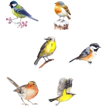 НАКЛЕЙКА НА ОКНО ПРИЗМАТИЧЕСКИХ ПТИЦ С КОНФИДЕНЦИАЛЬНОСТЬЮ