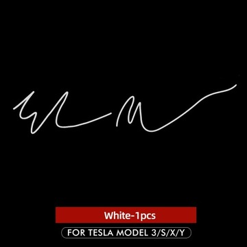 dla Tesla Model S 3 X Y akcesoria kreatywne naklej