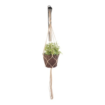 Kwietnik wiszący (Niekorowany/26cm)