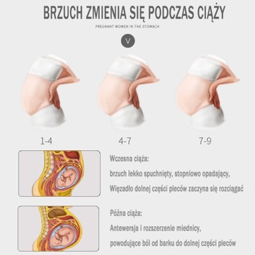 Pas ciążowy macierzyński podtrzymujący brzuszny 2X