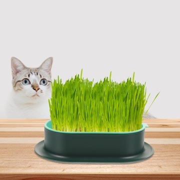 Травосборник CAT GRASS для кошек
