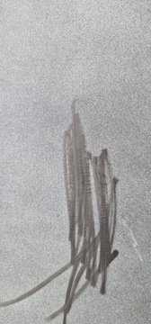 HYUNDAI ELANTRA 10-16 ROK NÁRAZNÍK ZADNÍ POD PDC 86611-3X001 NA40JR