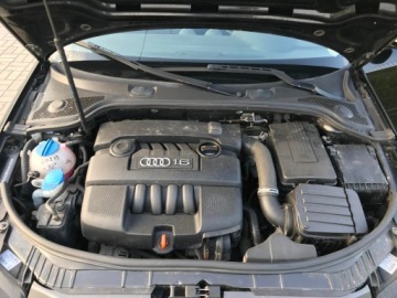 Audi A3 8P Hatchback 3d 1.6 102KM 2009 Audi A3 1.6 MPI 102 KM, zdjęcie 16