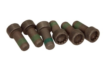 SCHAEFFLER LUK 411 0133 10 SADA ŠROUBŮ KOLO SETRVAČNÍK