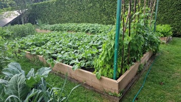 ПРОВЕРКА БЕТОННОГО ЯЩИКА ДЛЯ ОВОЩЕЙ ЯЩИКА ДЛЯ ОВОЩЕЙ