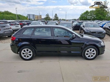 Audi A3 8P Hatchback 3d 1.4 TFSI 125KM 2010 Audi a3 1,4 tfsi 125KM klima elektryka alu xenon grz. fotele oplacony 1.4, zdjęcie 4